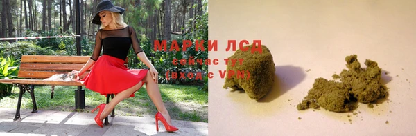 гашик Бежецк