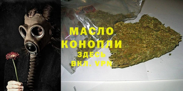 ешки Медногорск